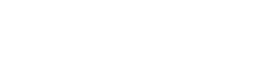 Steady logo